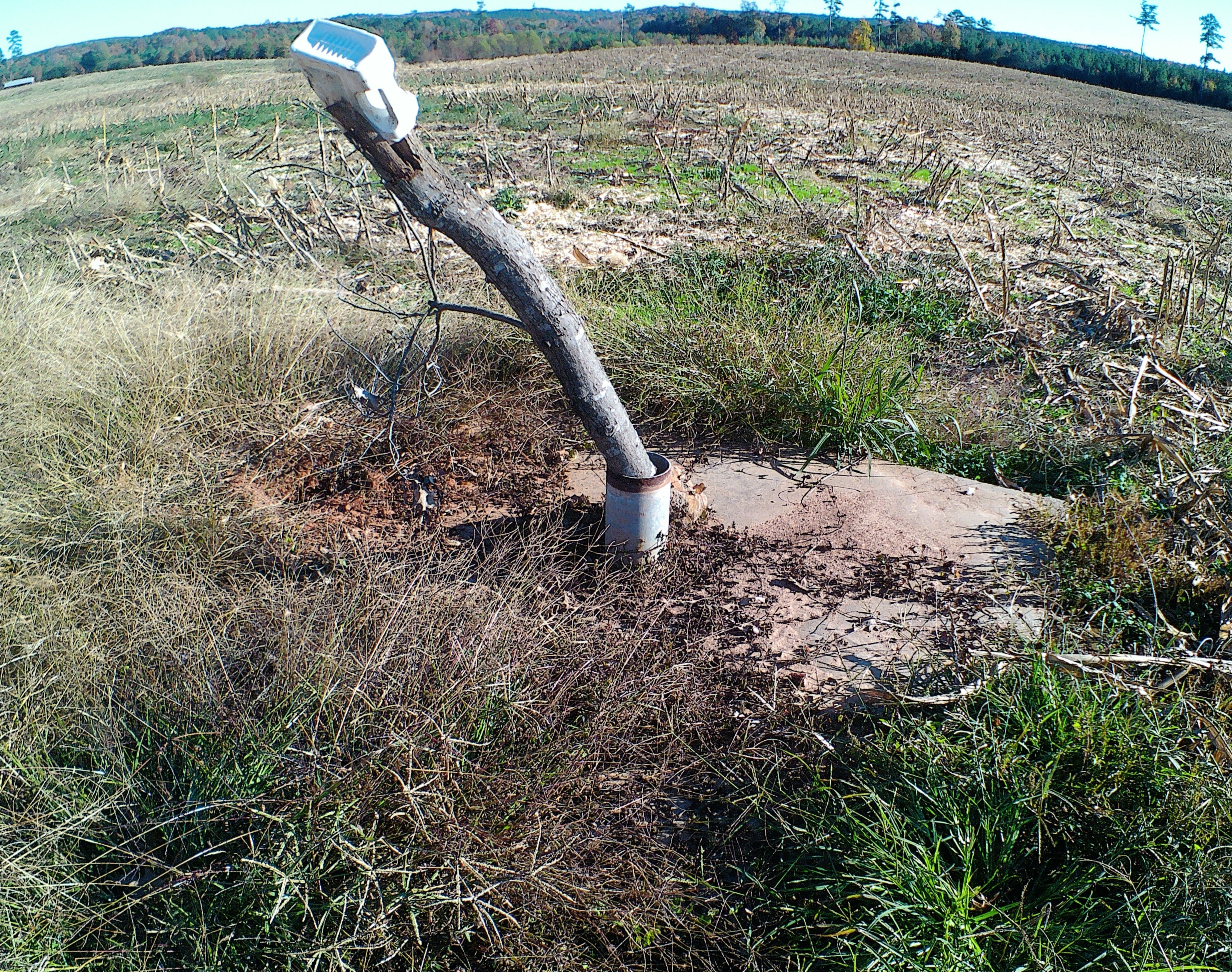 TBD Concord Church Road 