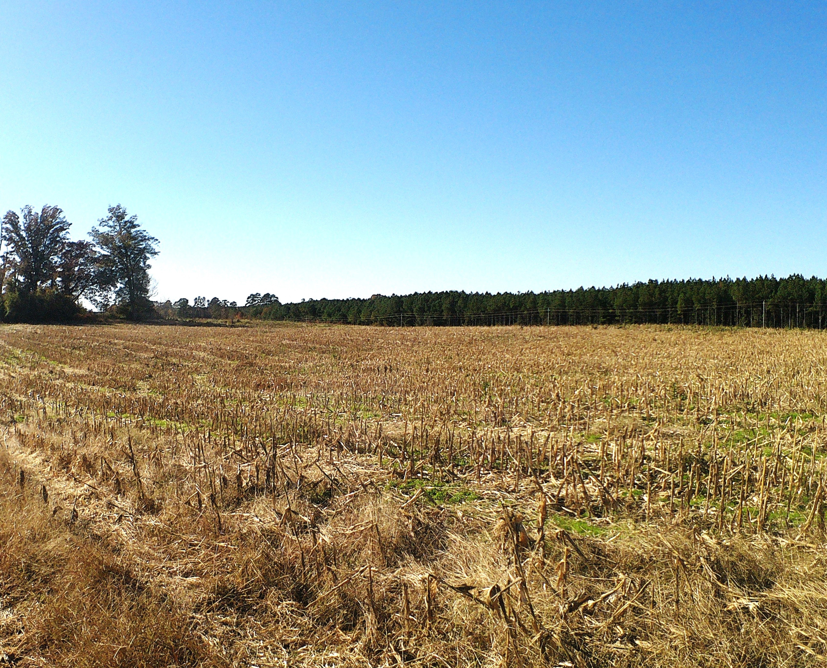 TBD Concord Church Road 