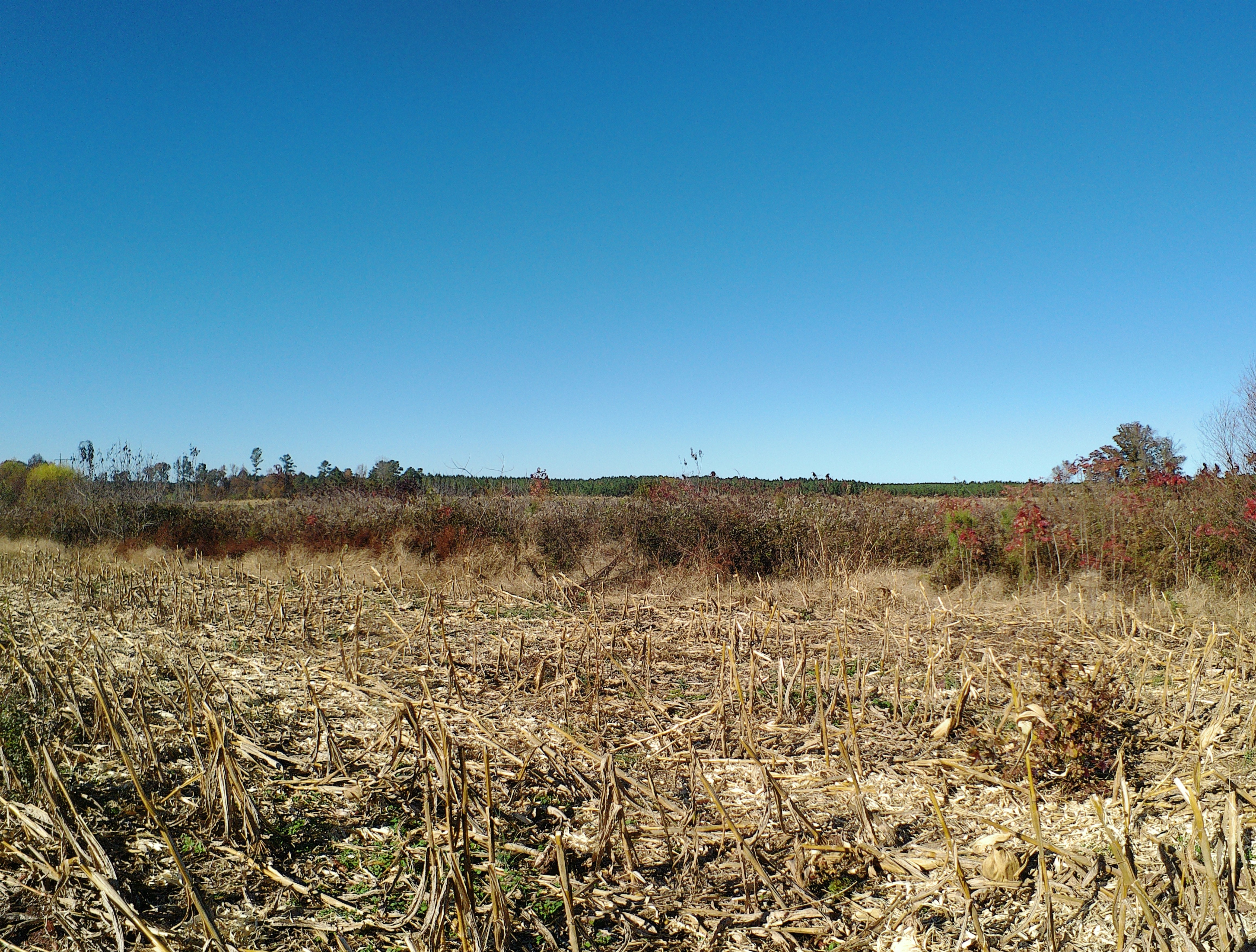 TBD Concord Church Road 