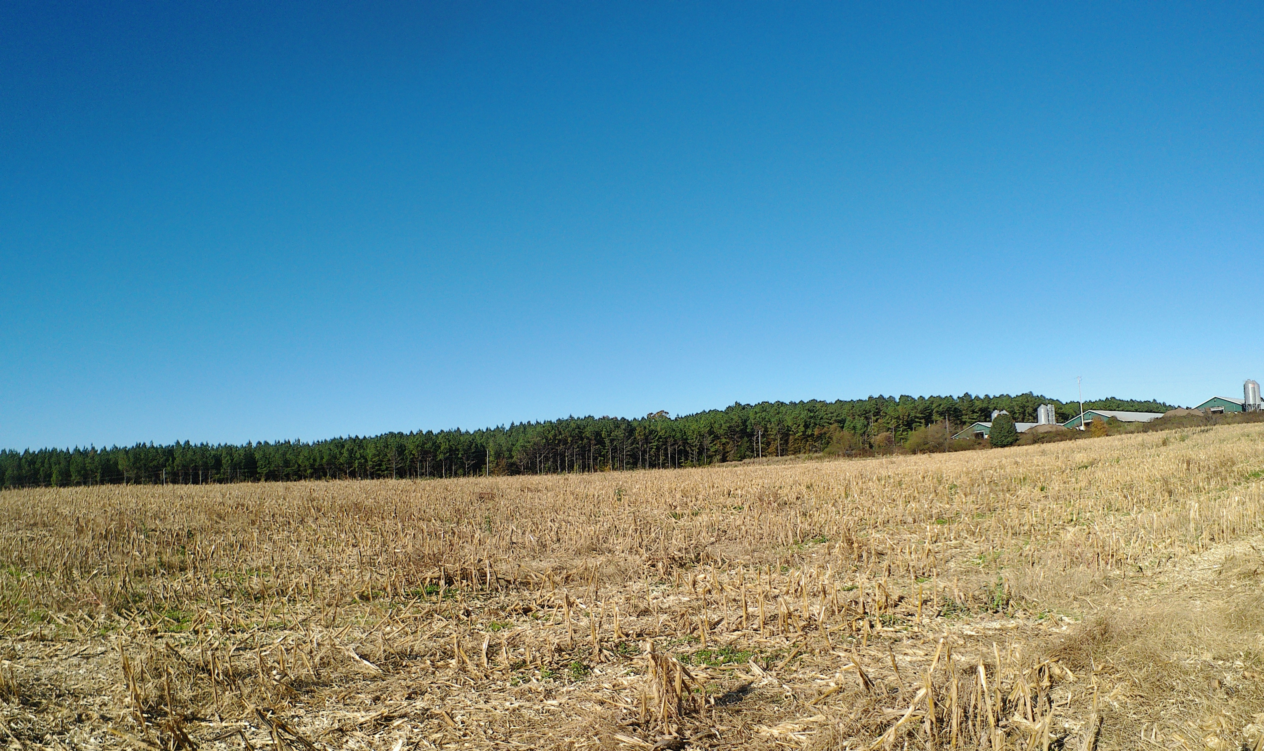 TBD Concord Church Road 