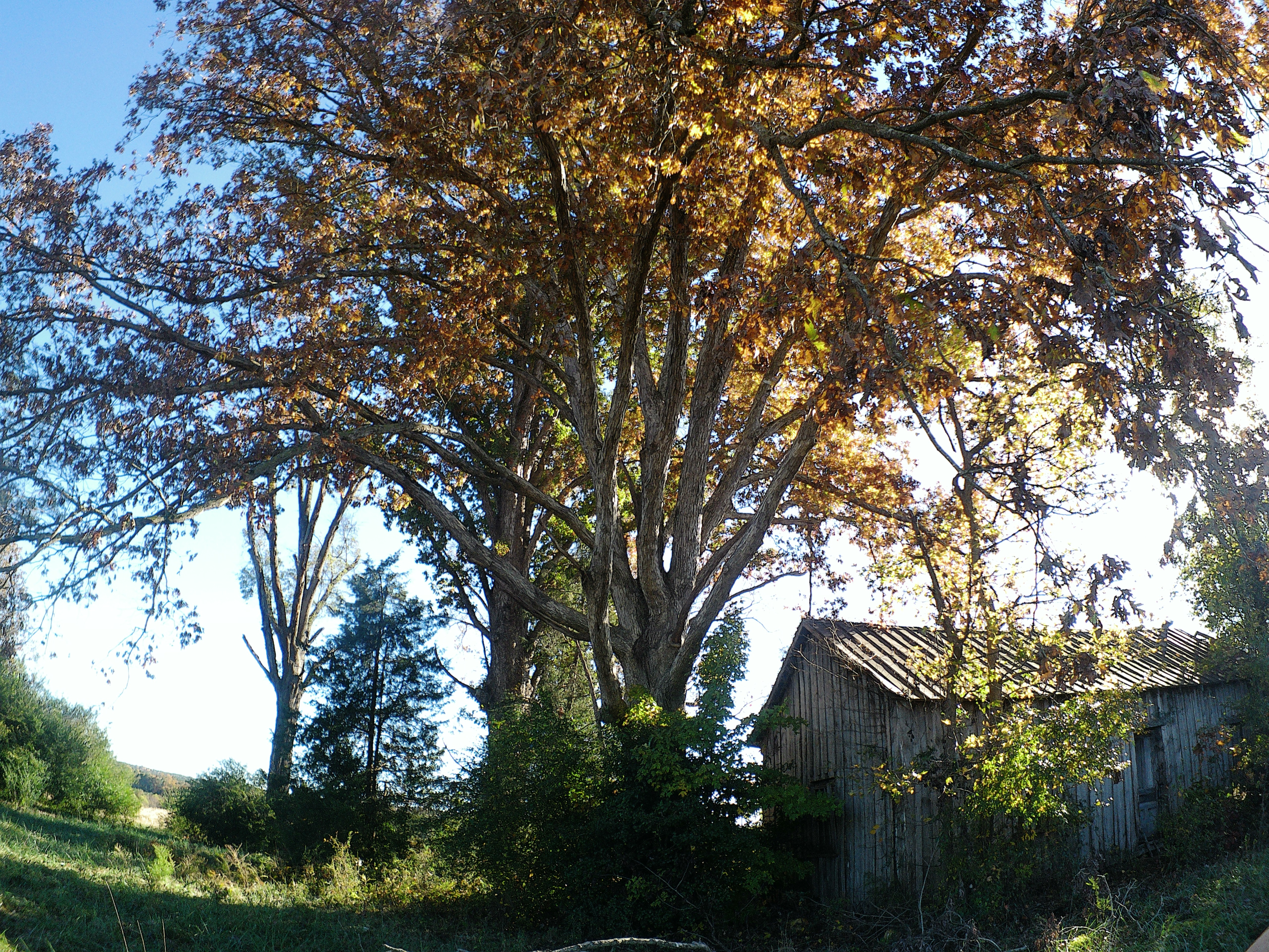 TBD Concord Church Road 